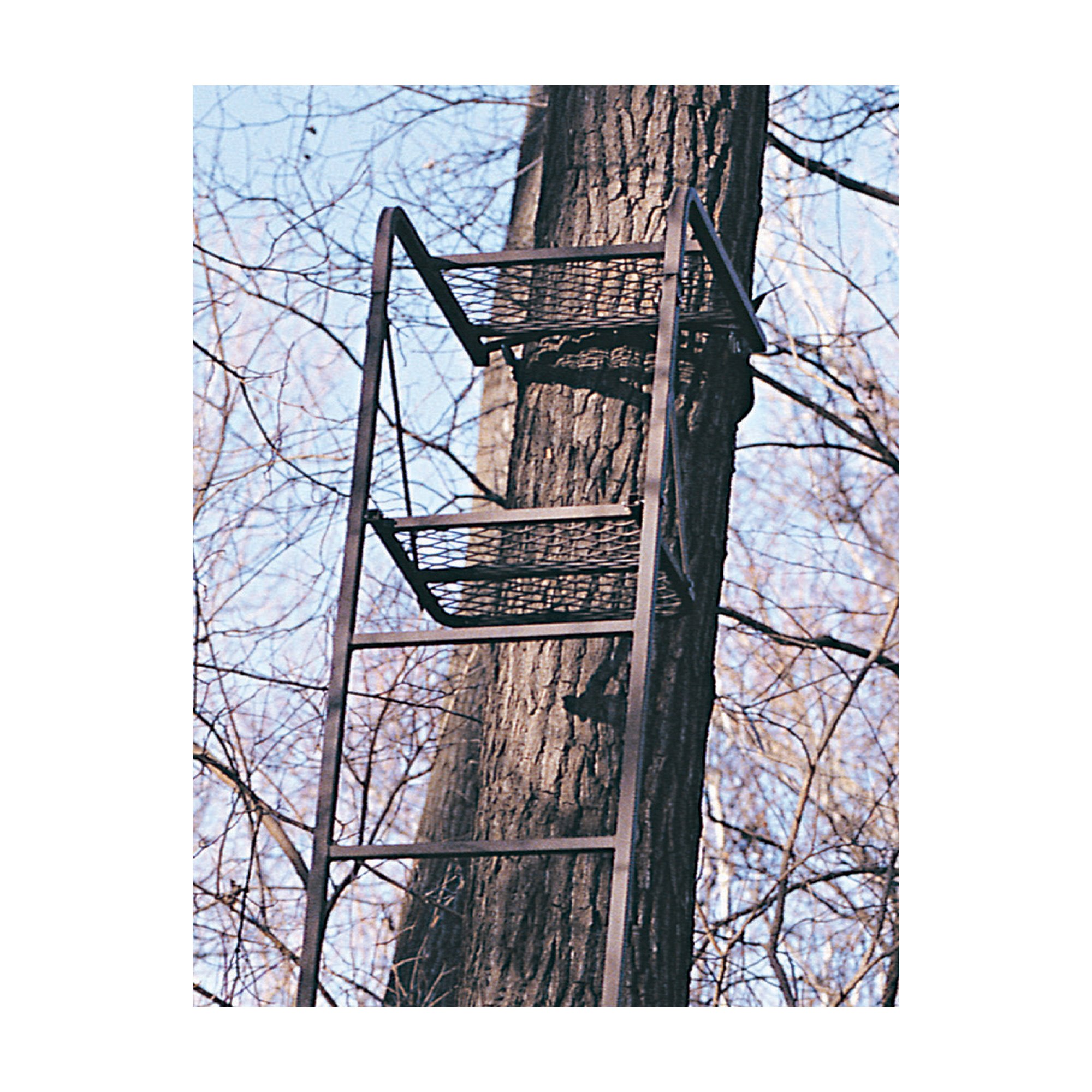 Rivers Edge 15Ft. Action Ladder Northern Tool